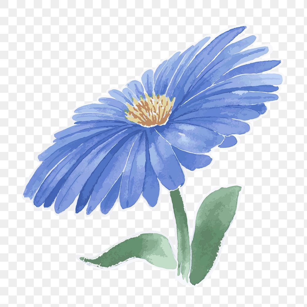Blue aster flower transparent png watercolor sticker