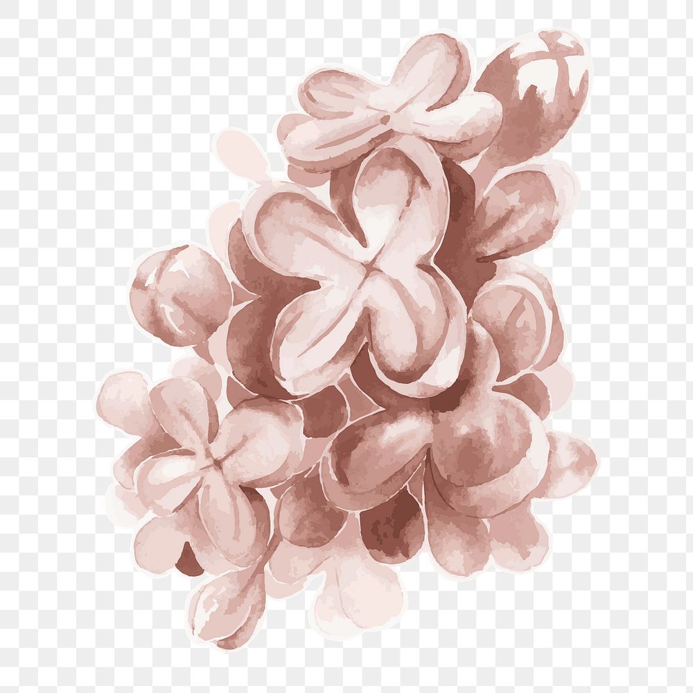 Lilac flower transparent png watercolor sticker