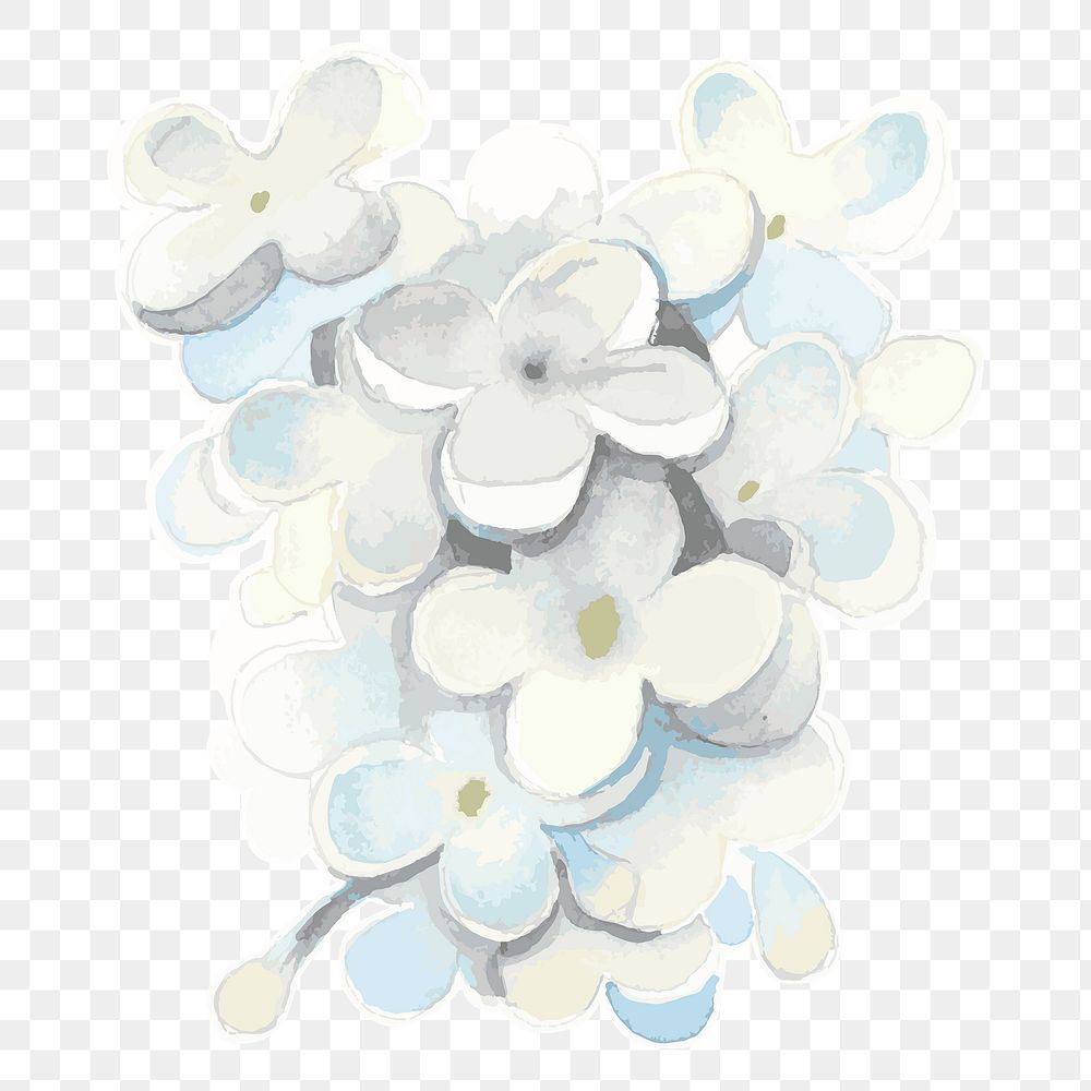 White lilac flower transparent png watercolor sticker