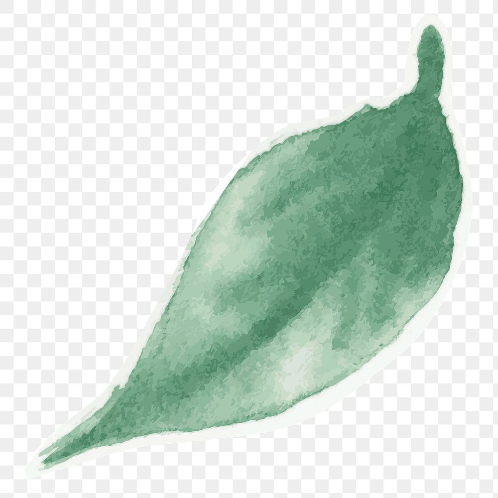 Green leaf botanical transparent png watercolor sticker