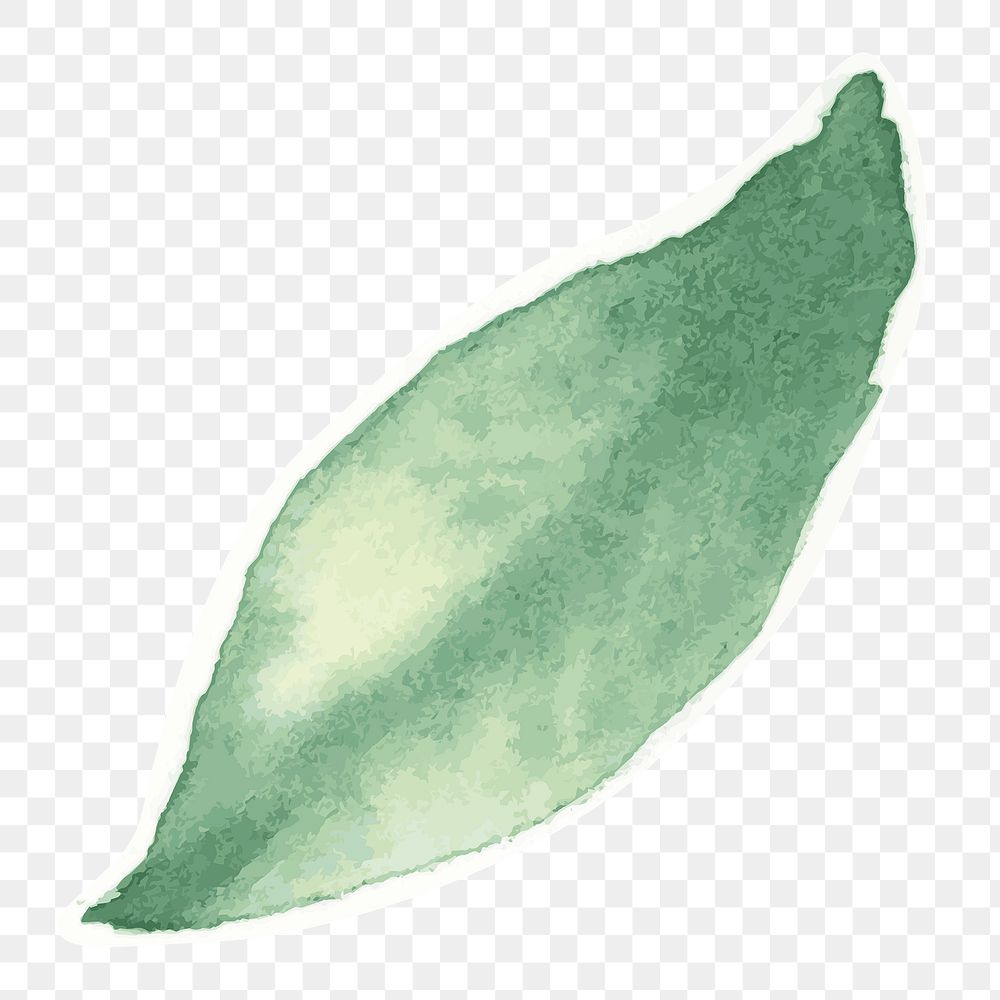 Green leaf botanical transparent png watercolor sticker