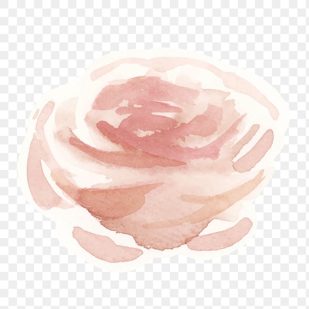 Classic pastel rose png hand drawn watercolor flower