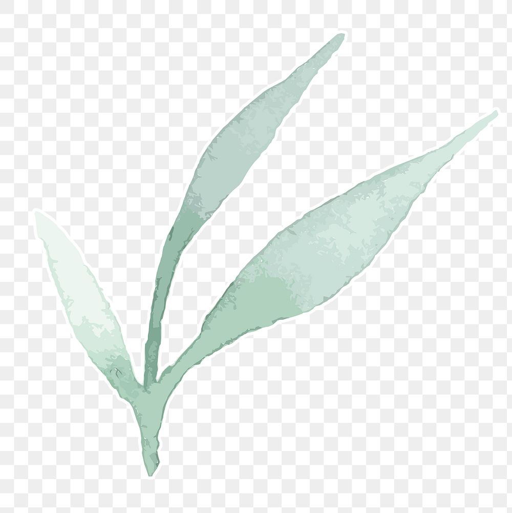 Beautiful plant transparent png hand drawn sticker element