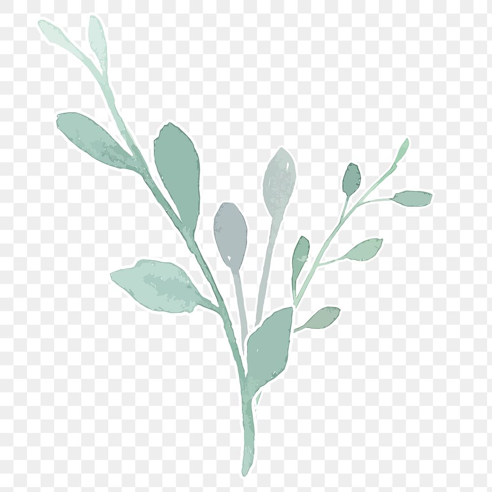 Beautiful plant transparent png hand drawn sticker element