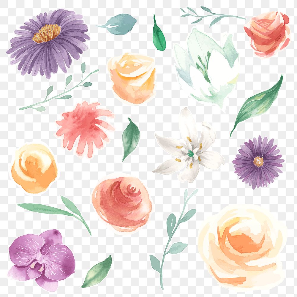 Hand drawn floral sticker png colorful watercolor diary set