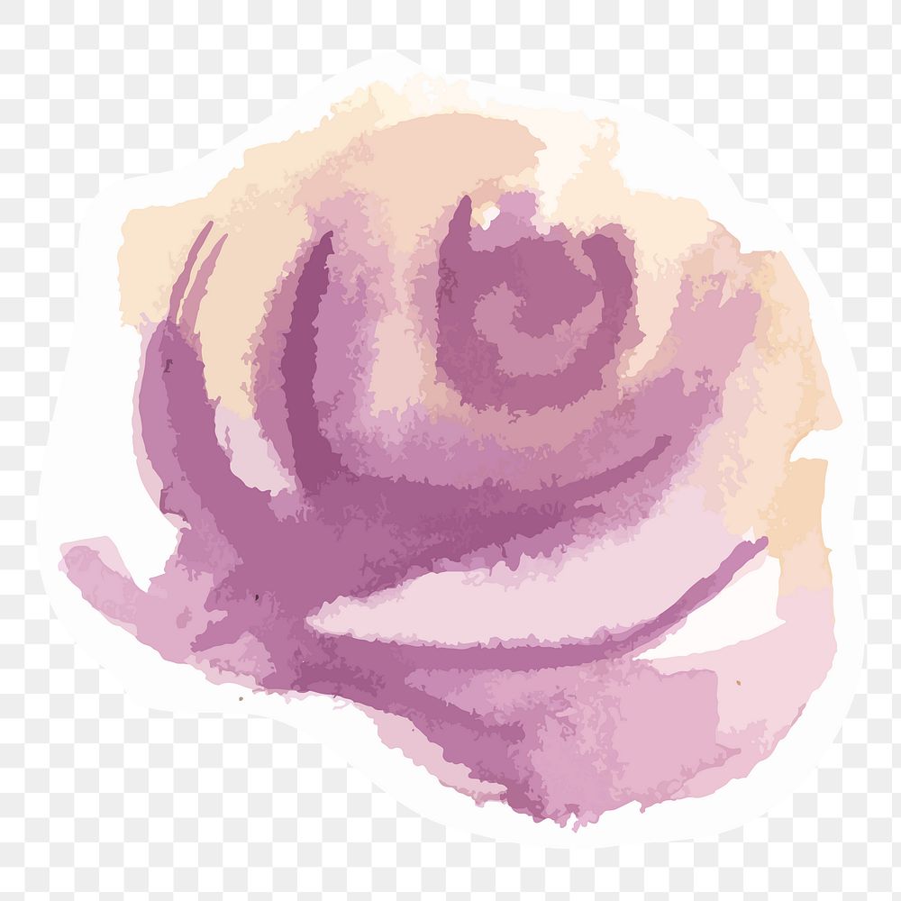 Classic purple rose png hand drawn watercolor flower