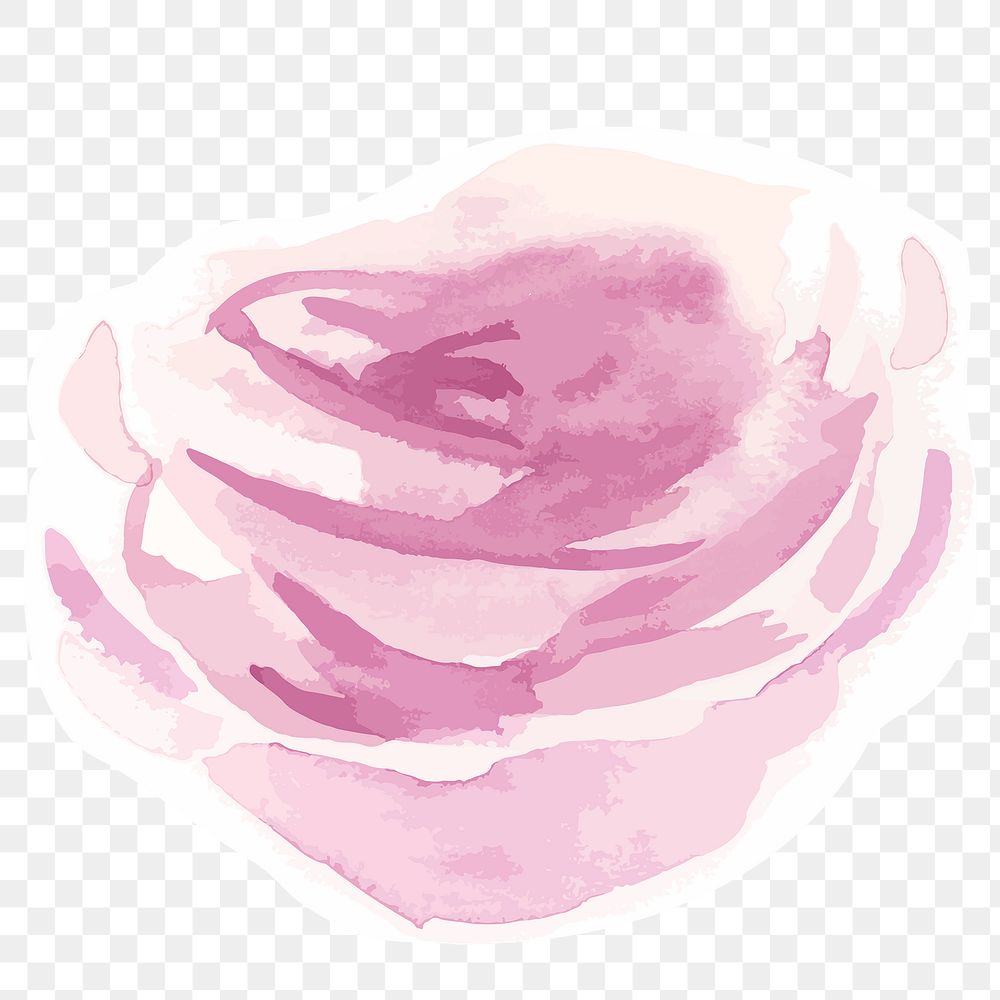 Watercolor pink peony png hand drawn sticker element