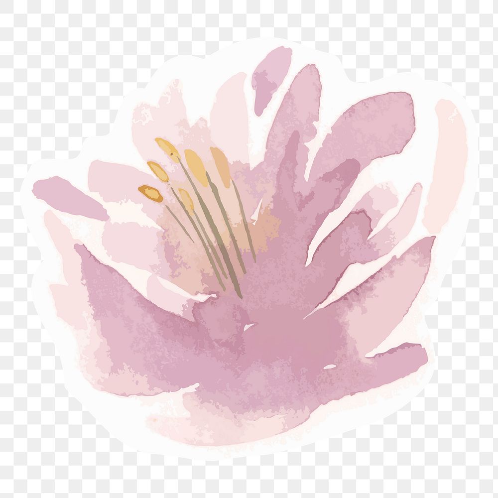 Pink flower transparent png watercolor sticker