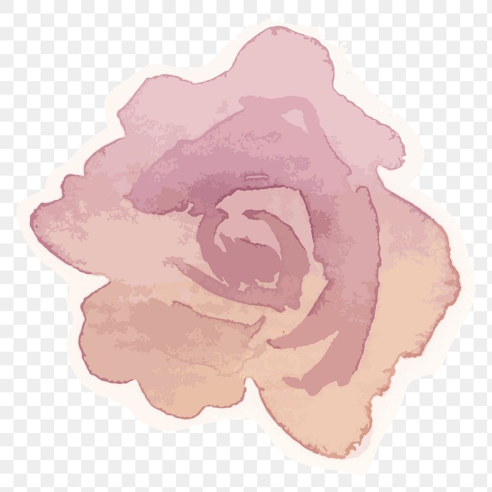 Pink rose flower transparent png watercolor sticker