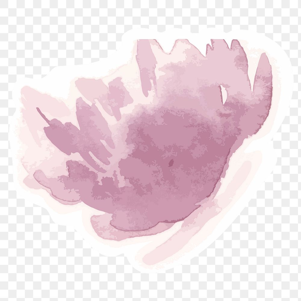 Pink peony flower transparent png watercolor sticker