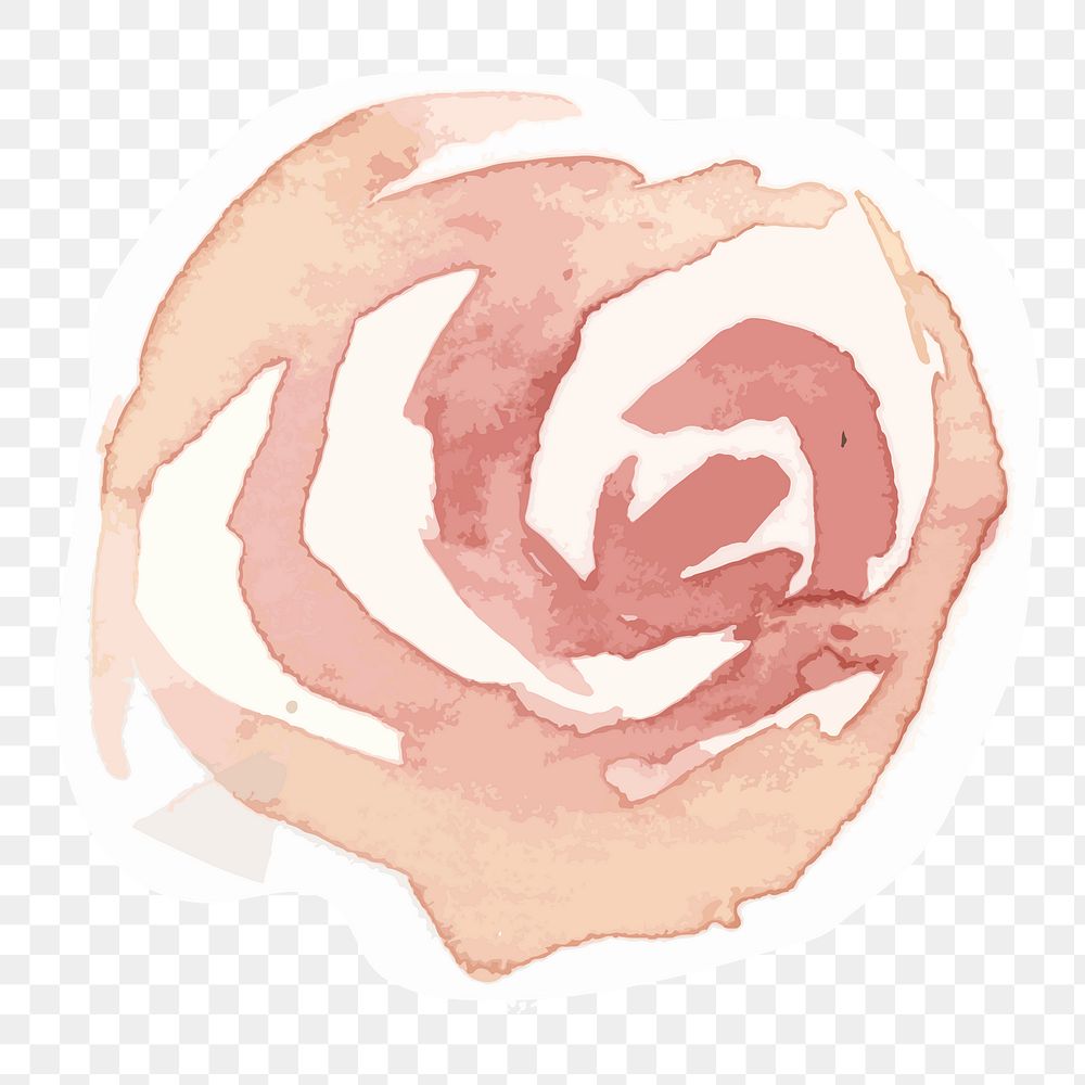 Pastel rose flower transparent png watercolor sticker