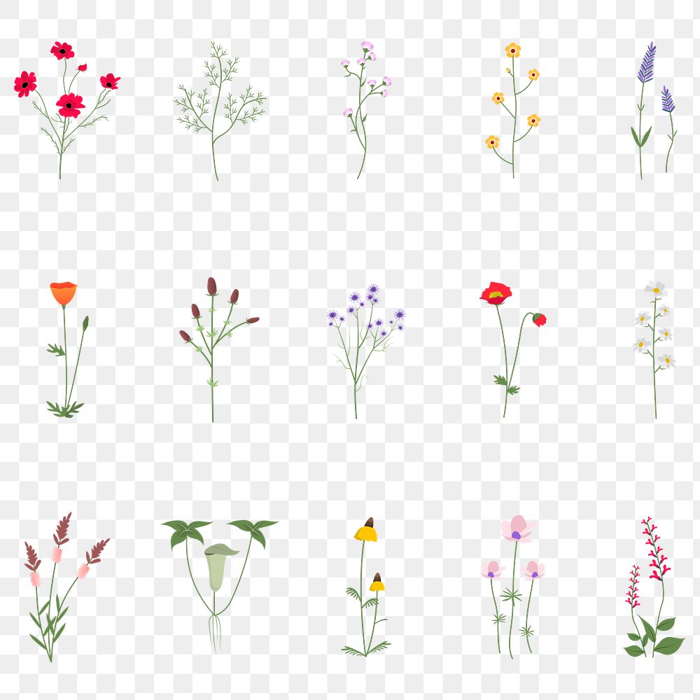 Png wildflower diary sticker floral illustration set