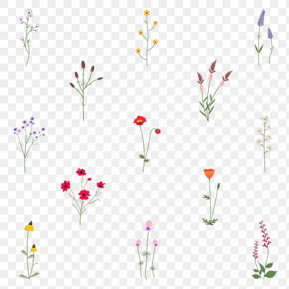 Png wildflower diary sticker floral illustration set