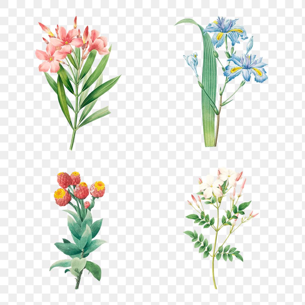 Flower sticker overlay design resource set 