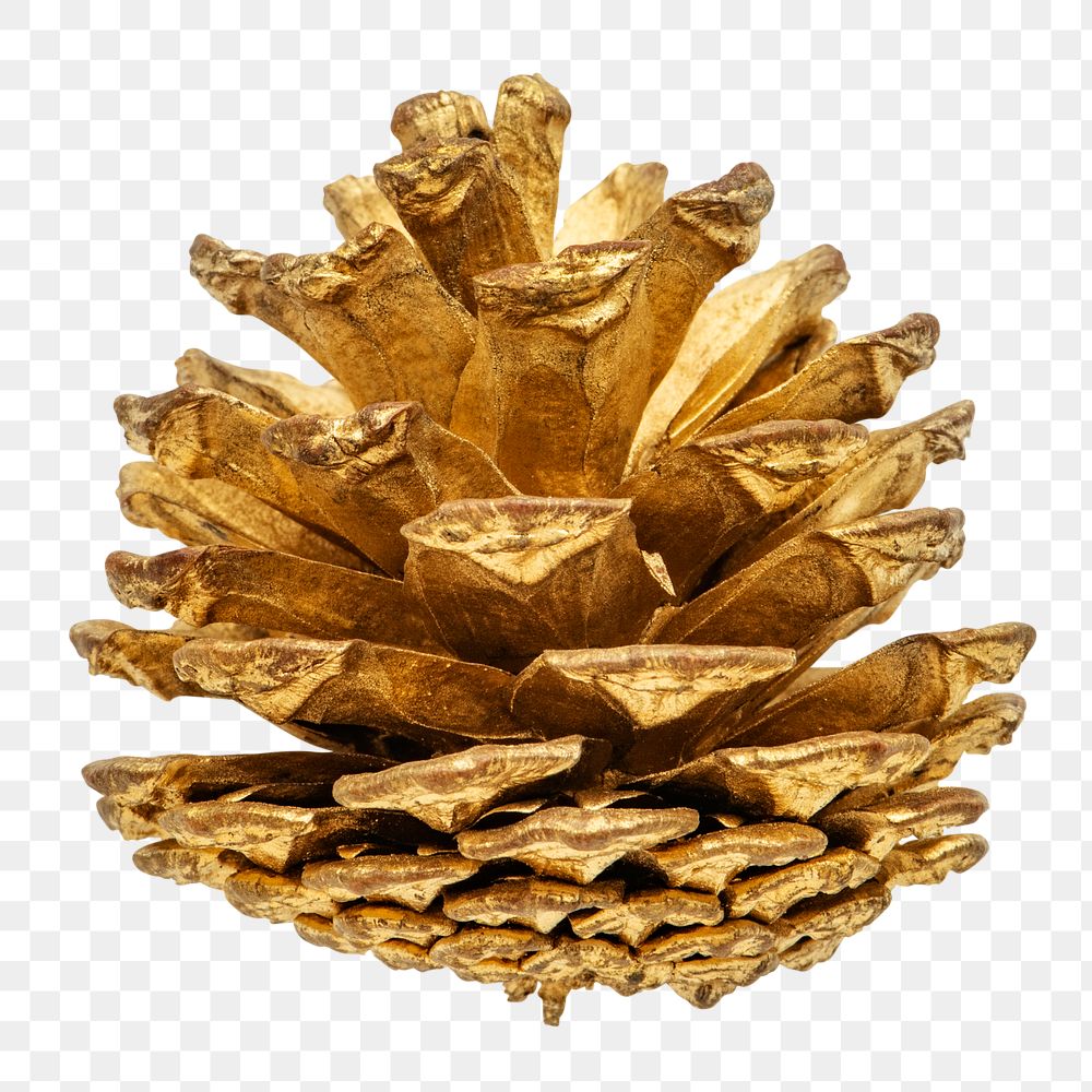 A gold pine cone Christmas ornament on transparent