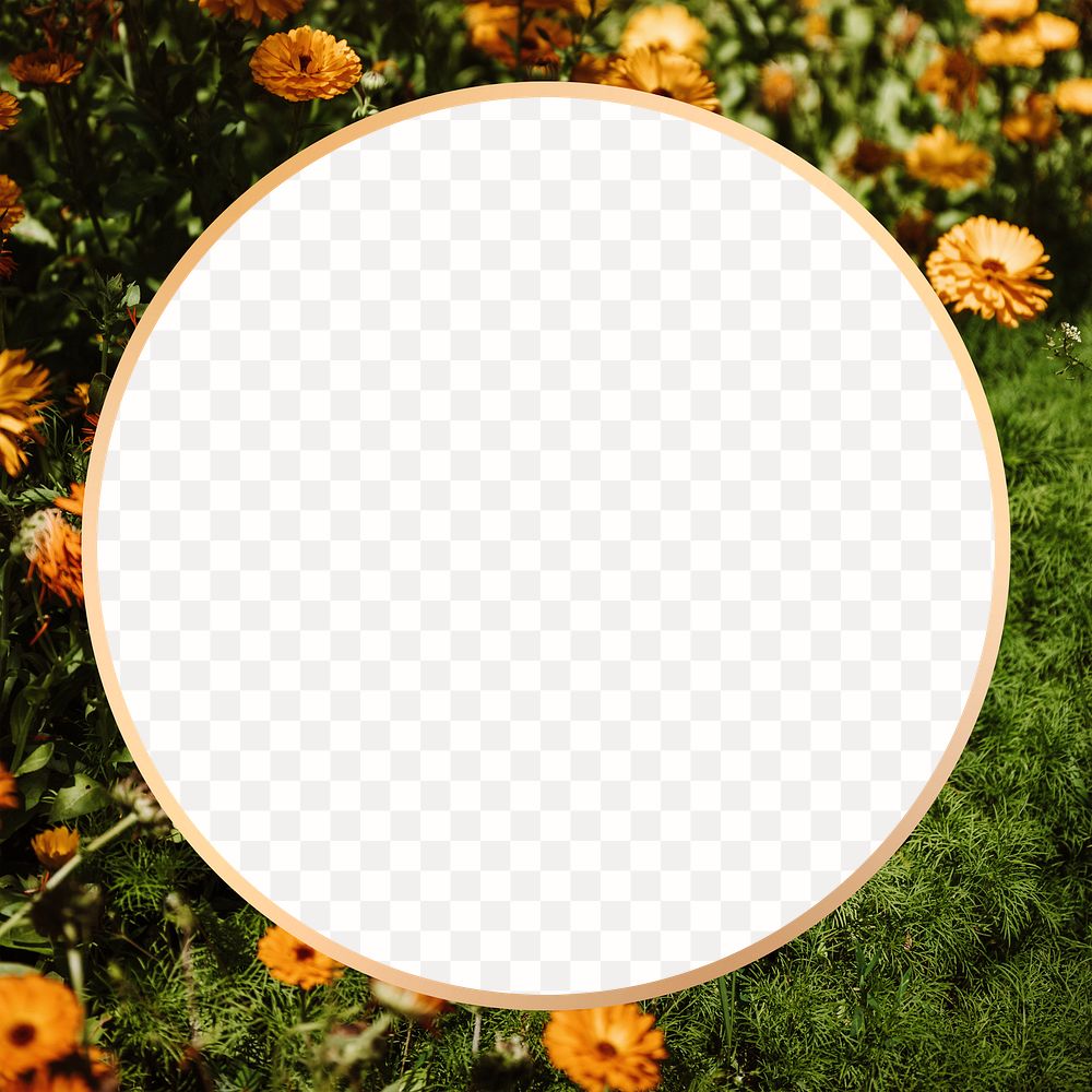 Yellow Chrysanthemum flower patterned round frame design element