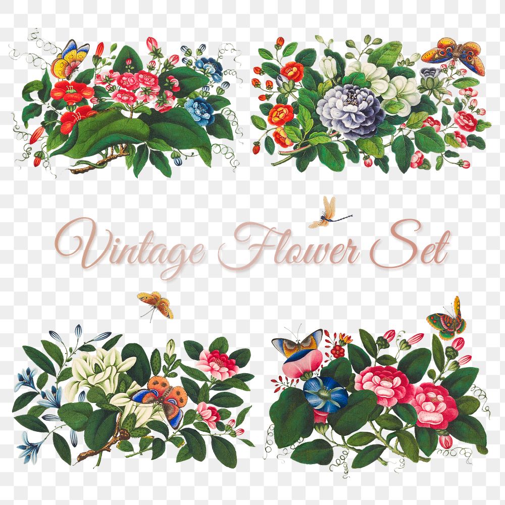Vintage flower arrangement illustration set transparent png