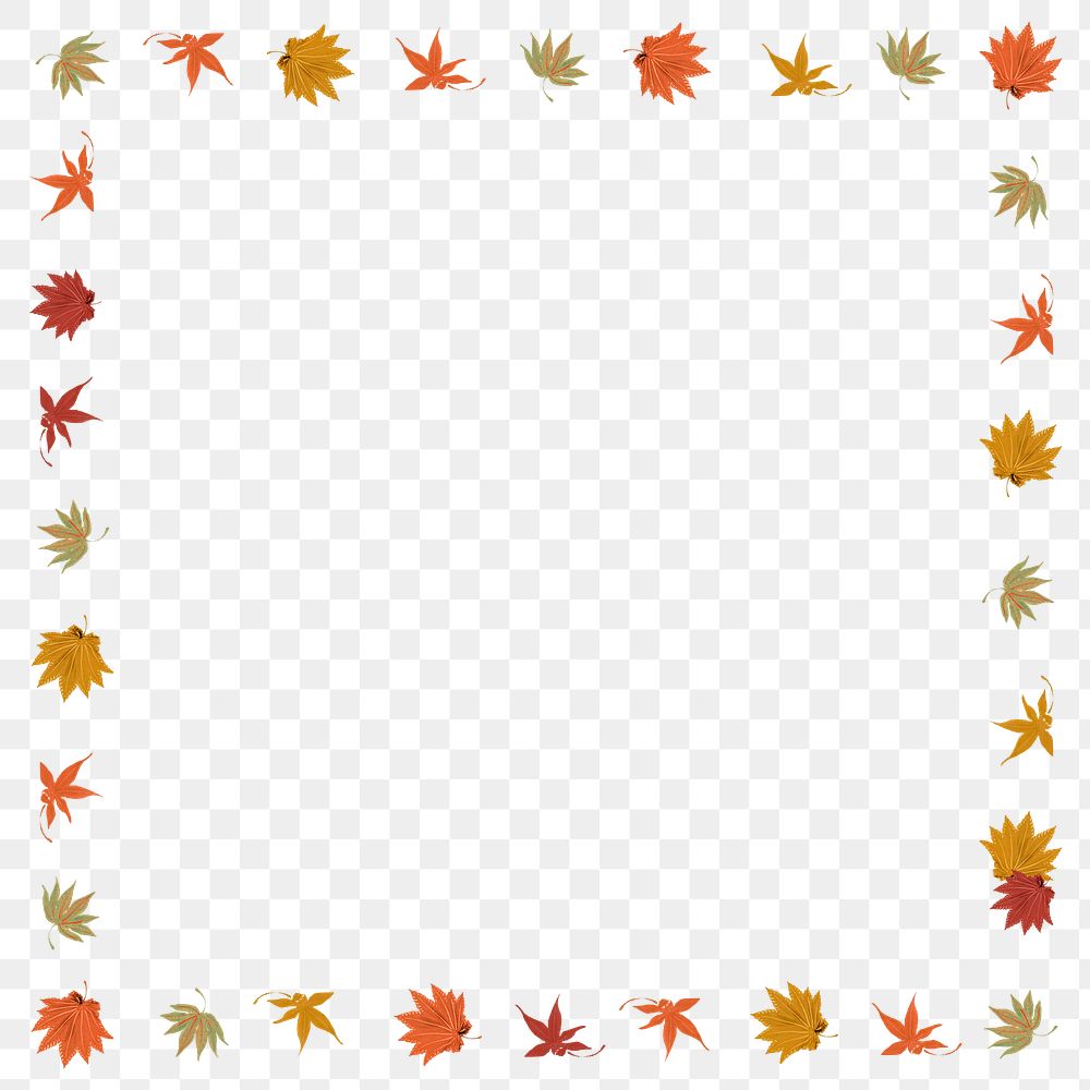 Maple leaves frame design element