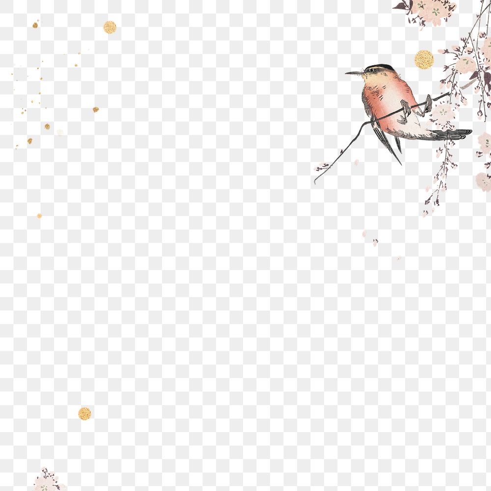 Songbird and cherry blossom flower border design element illustration