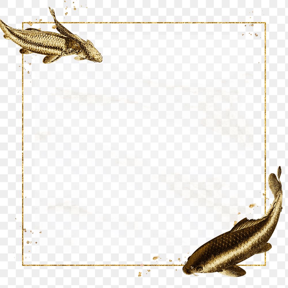 Golden carp fish frame design element 