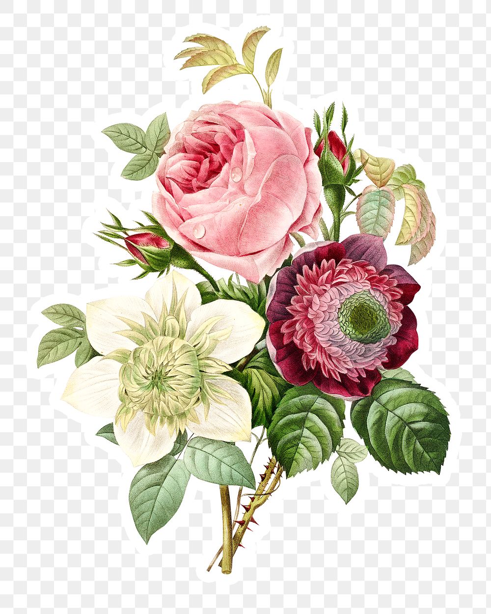 Cabbage rose and anemone flower sticker design element 