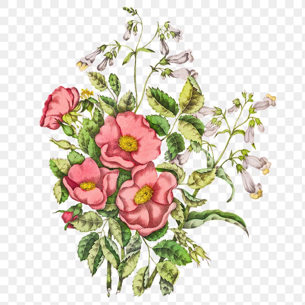 Early Wild Rose and Penstemon Beard Tongue flower bouquet transparent png