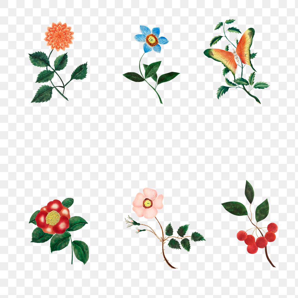 Vintage flower set illustration transparent png