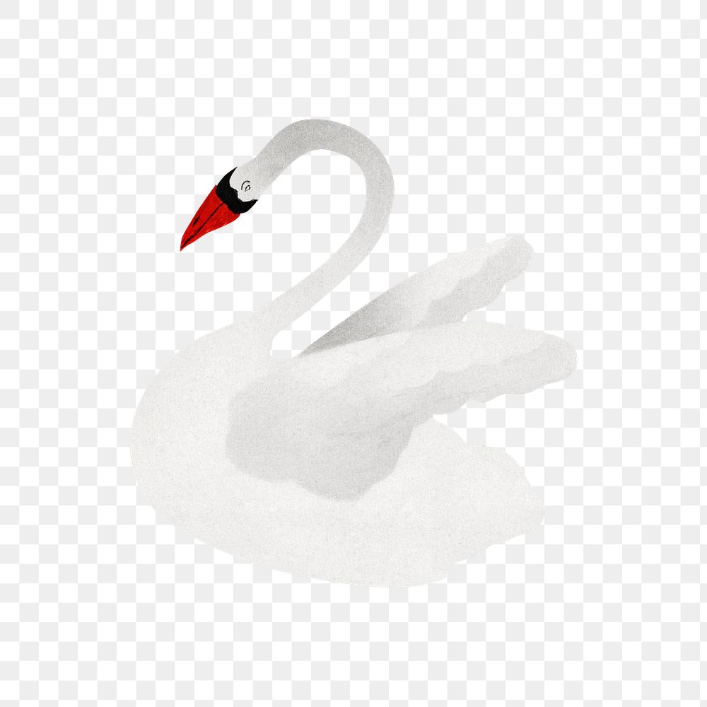 White swan vintage illustration transparent png