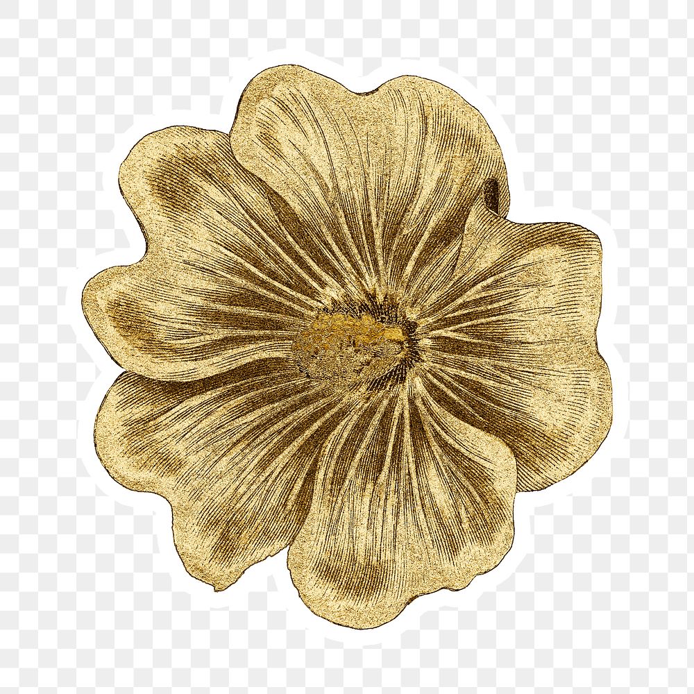 Vintage gold Alcea Rosea flower sticker with white border