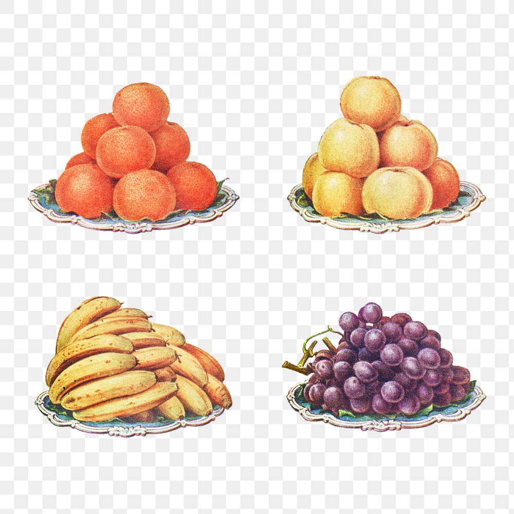 Hand drawn set of ripe fruits desing resources