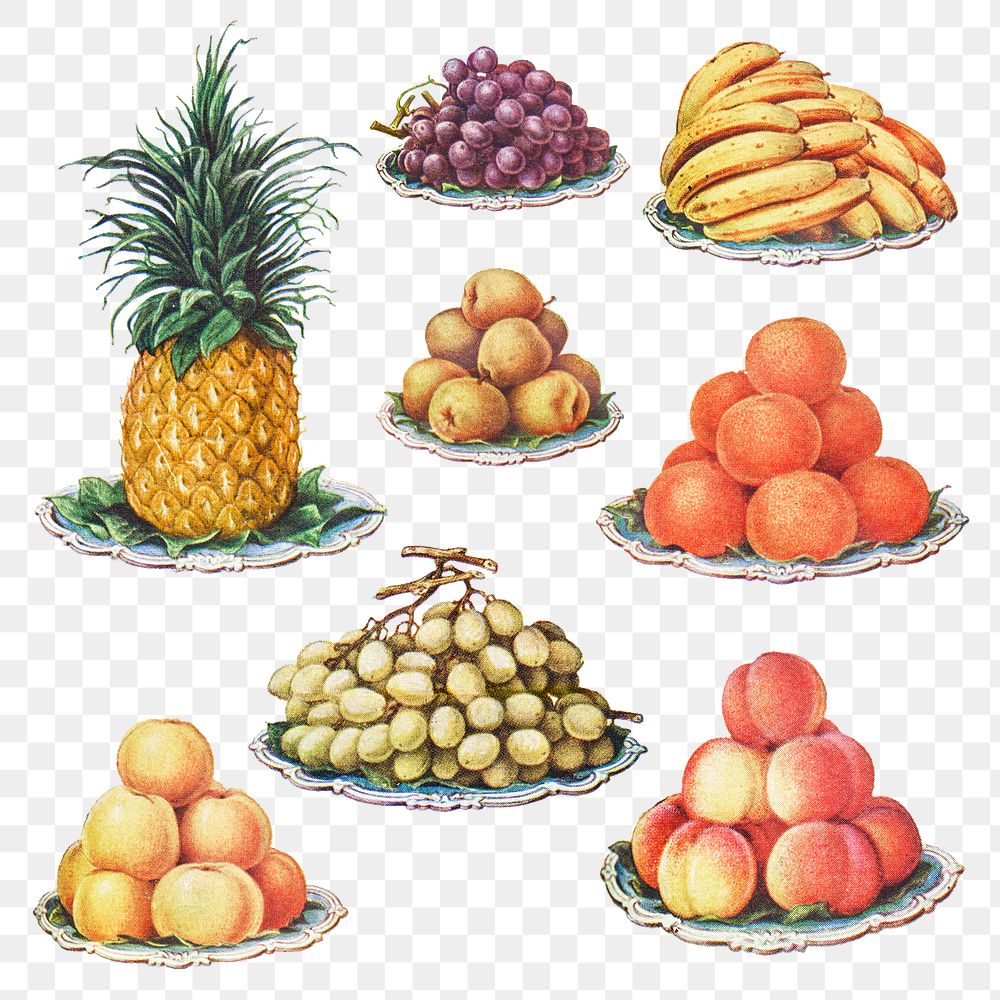 Hand drawn set of fruits design resources 