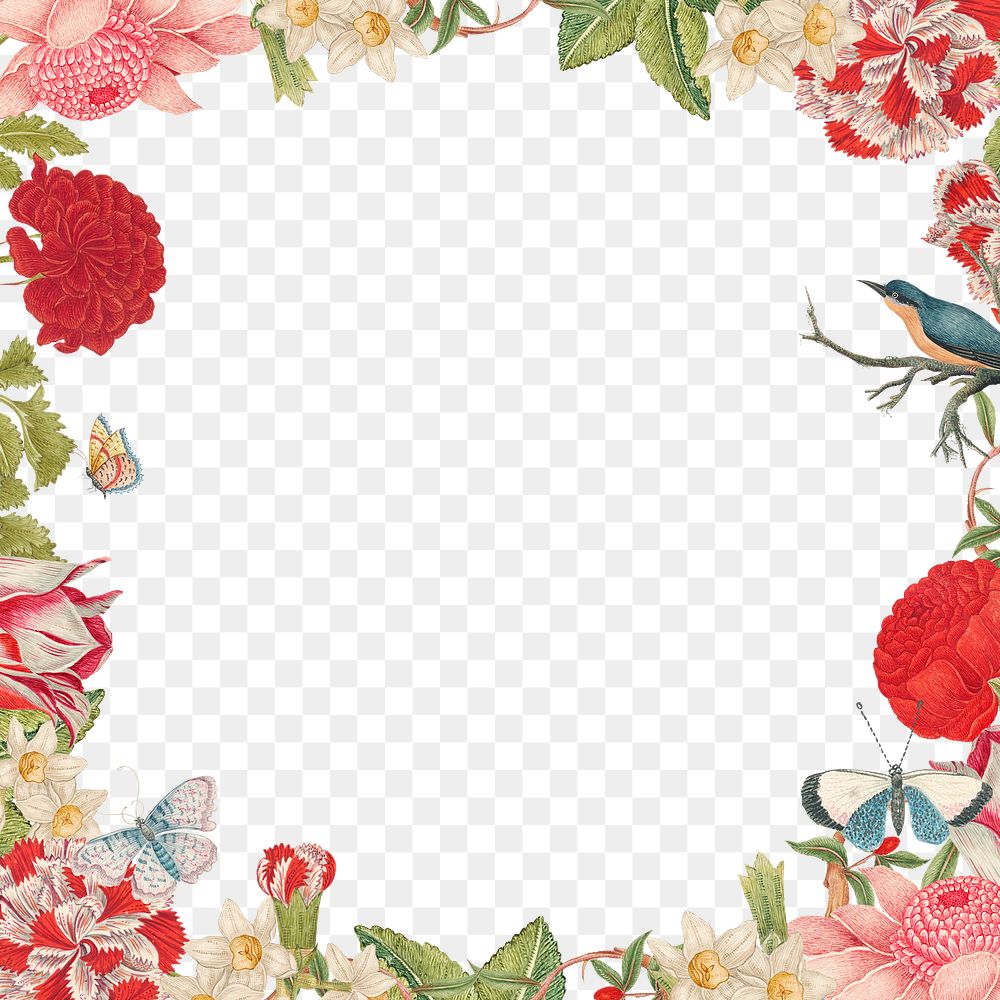Vintage flower png frame, remixed from the 18th-century artworks from the Smithsonian archive.