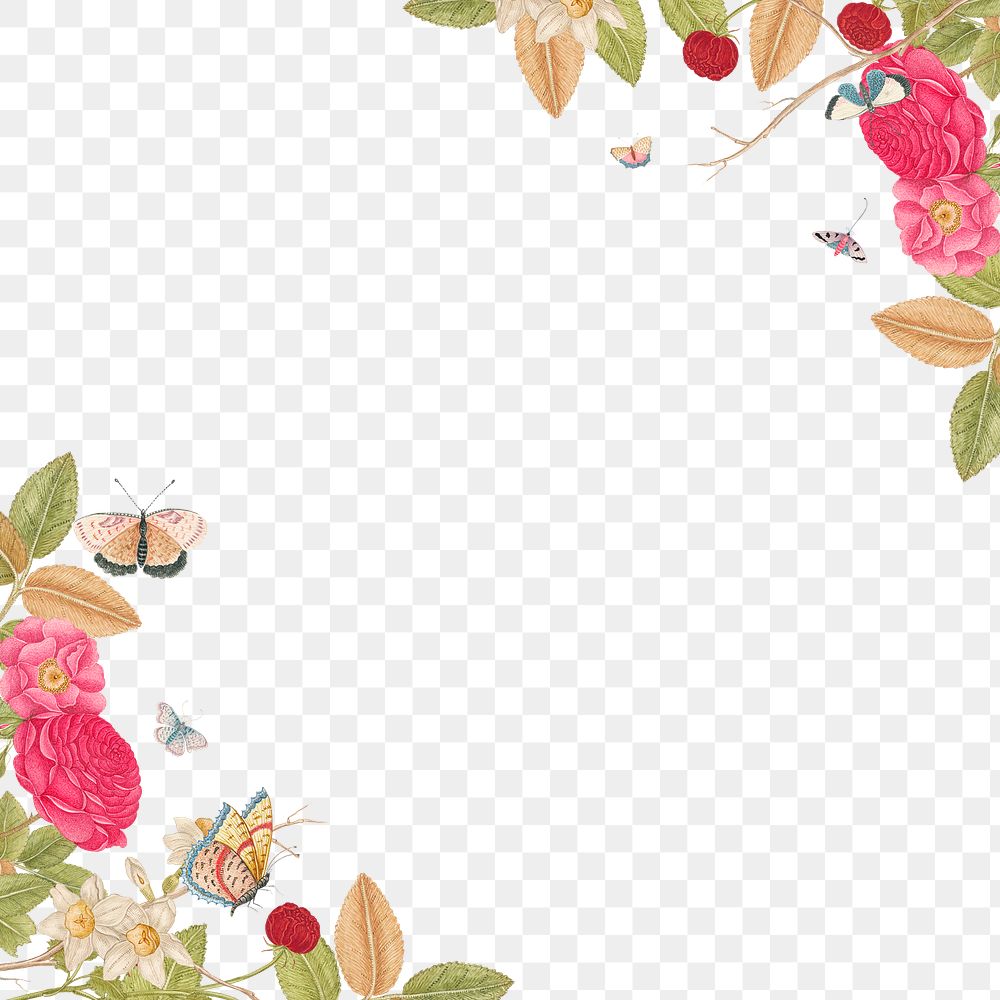 Vintage floral frame png, remixed from the 18th-century artworks from the Smithsonian archive.