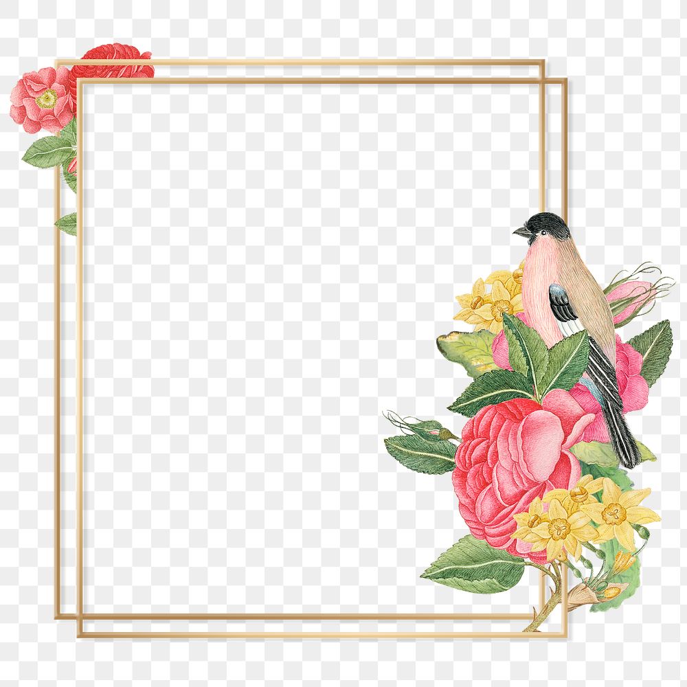 Png vintage flower bird gold frame, remixed from the 18th-century artworks from the Smithsonian archive.