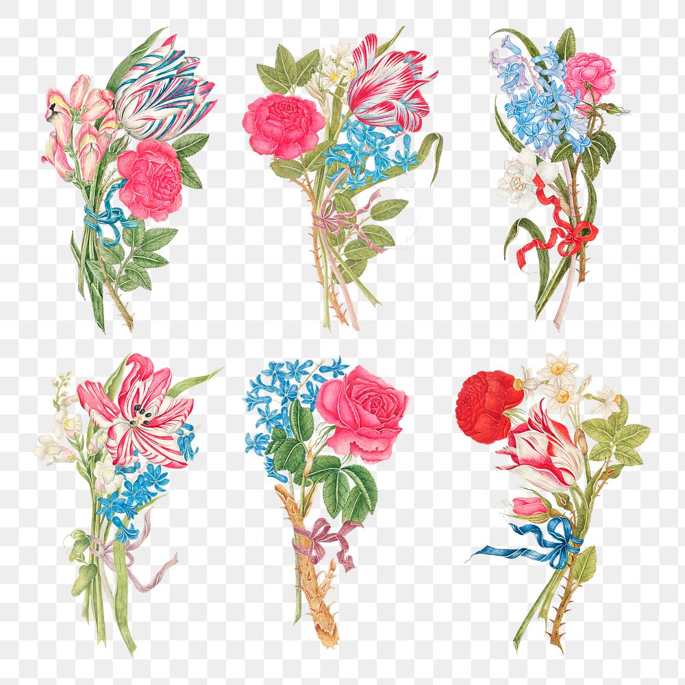 Vintage bouquet png illustration, remixed from the 18th-century artworks from the Smithsonian archive.