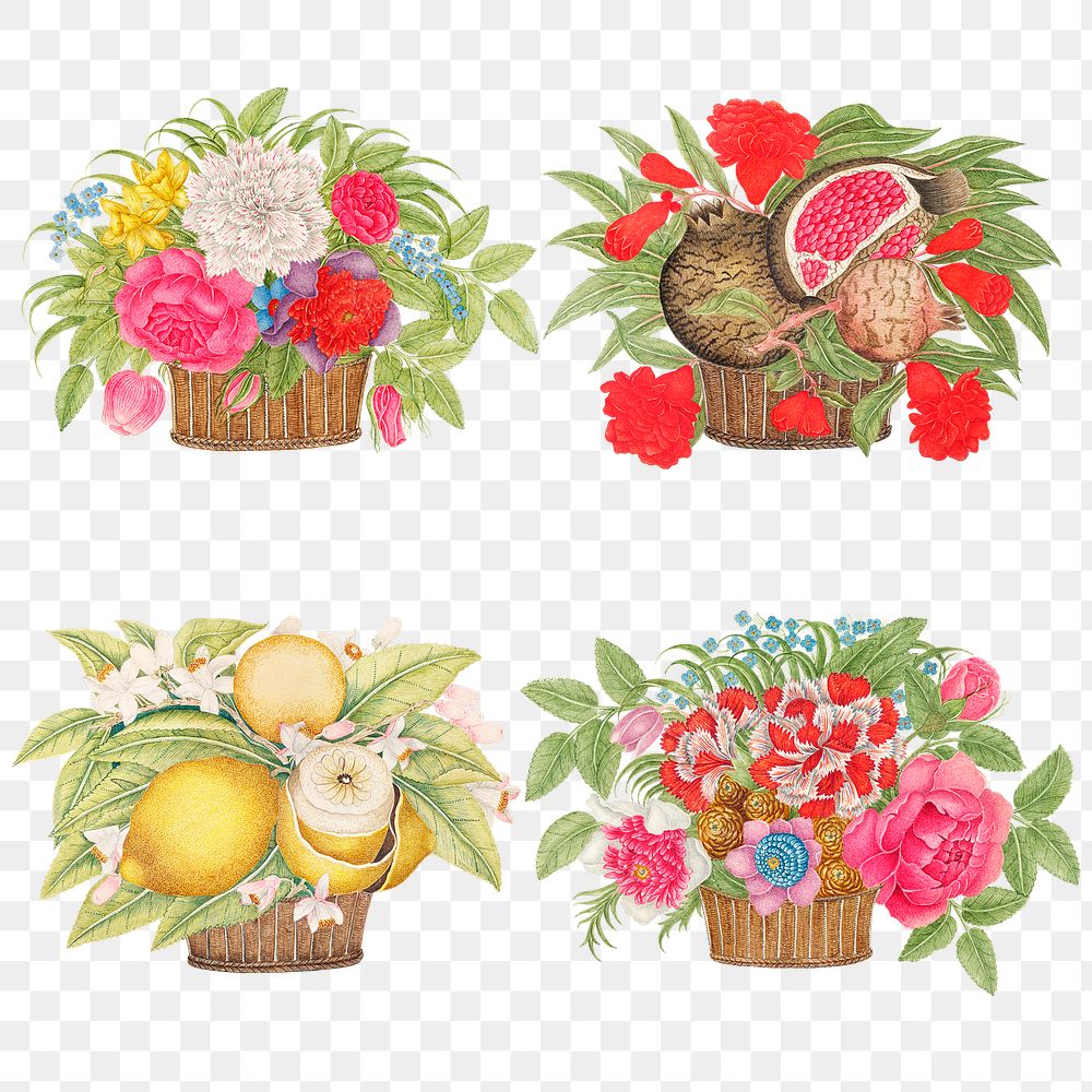 Vintage basket of flowers and fruits png illustration set, remixed from the 18th-century artworks from the Smithsonian…