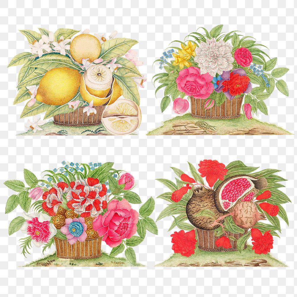 Vintage basket of flowers and fruits png illustration set, remixed from the 18th-century artworks from the Smithsonian…