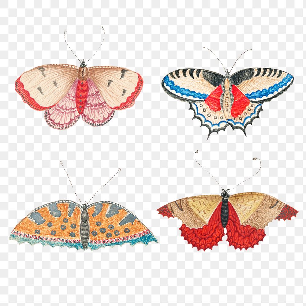 Vintage png butterfly and moth watercolor illustration set, remixed from the 18th-century artworks from the Smithsonian…