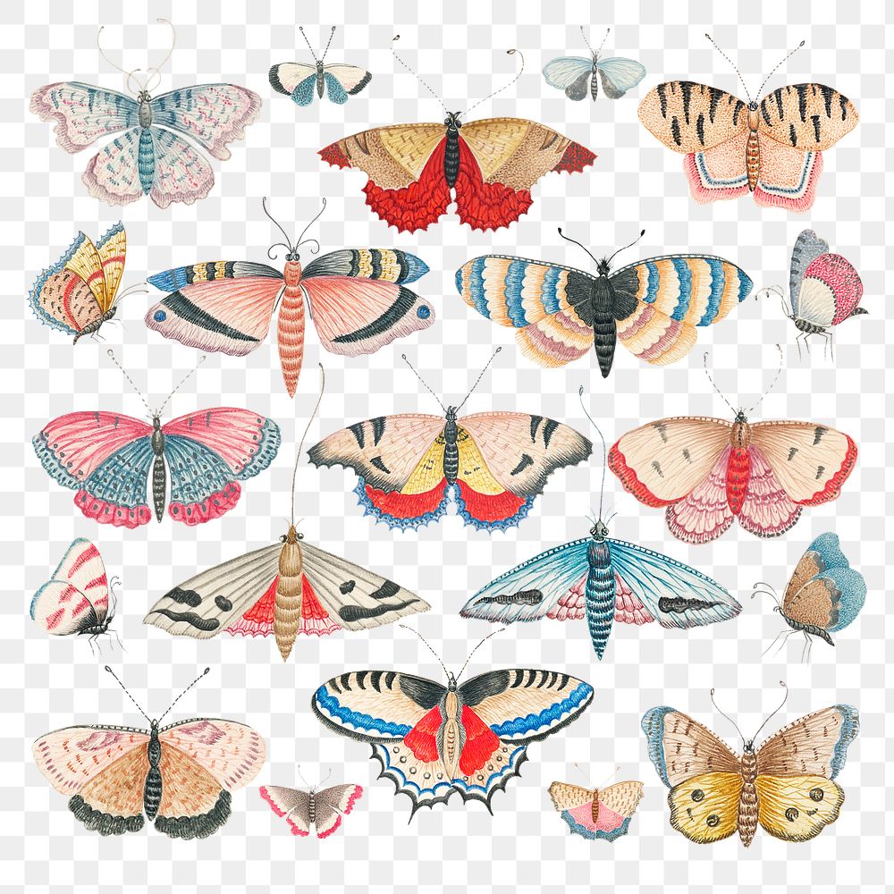 Vintage png butterfly and moth watercolor illustration set, remixed from the 18th-century artworks from the Smithsonian…