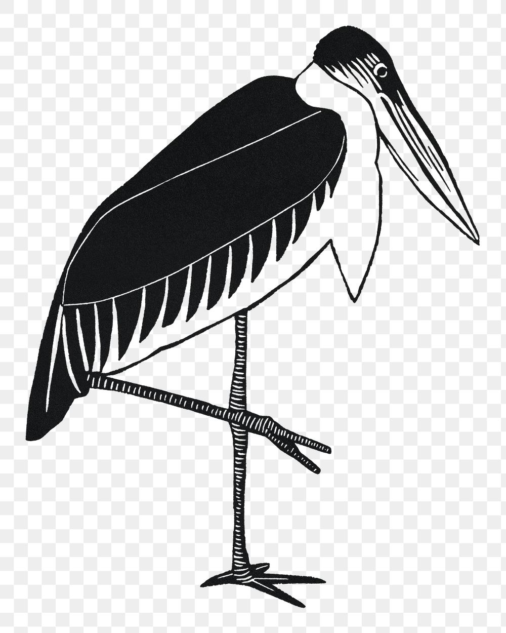 Vintage png marabou stork animal art print, remix from artworks by Samuel Jessurun de Mesquita