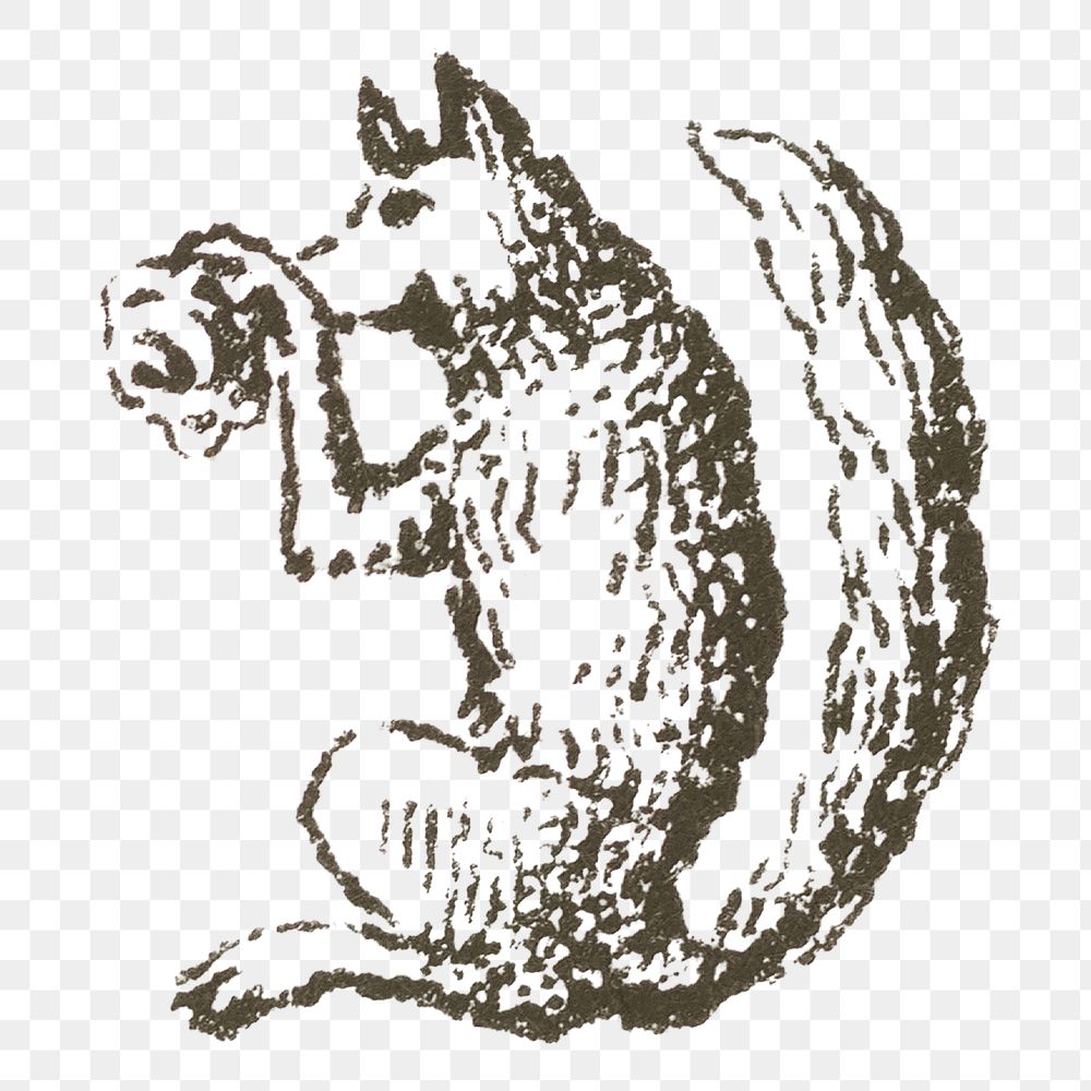 Vintage png squirrel engraving hand drawn illustration
