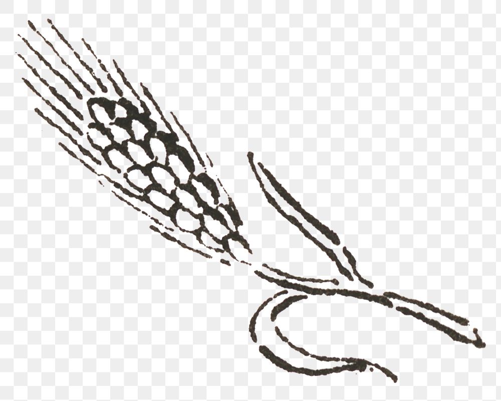 PNG vintage line rice icon | Premium PNG Sticker - rawpixel