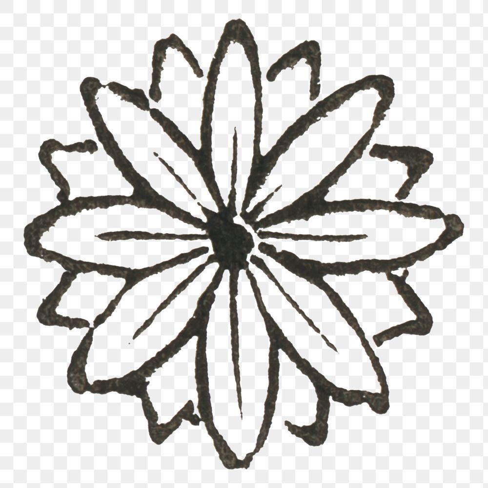 Engraving png Chrysanzthemum flower vintage icon drawing