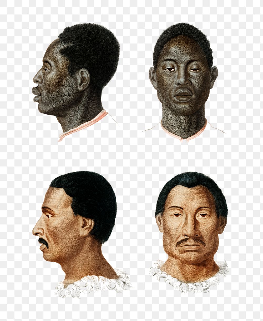 Hand drawn human face png set, remix from artworks by Charles Dessalines D'orbigny