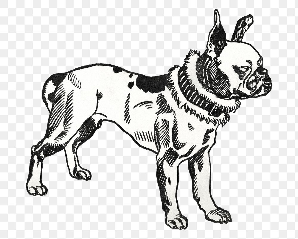 Png Pitbull Terrier vintage dog illustration, remixed from artworks by Moriz Jung