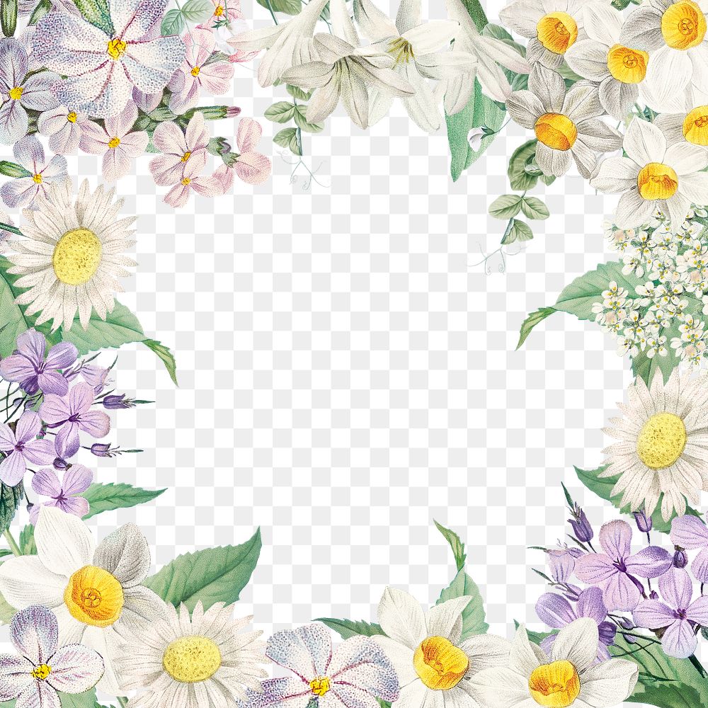 Vintage blank various flowers themed frame transparent png