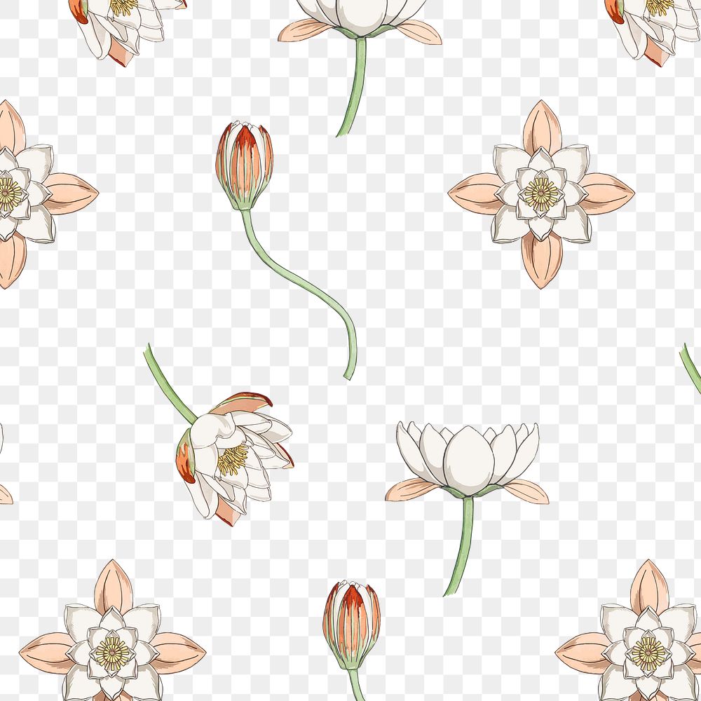 Vintage water lily flower pattern transparent png design resource