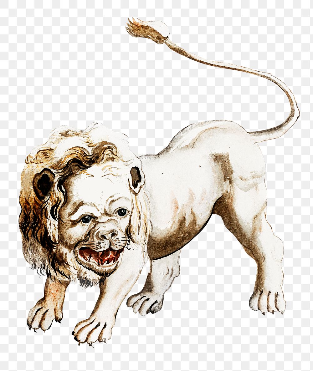 Png lion sticker wild animal illustration