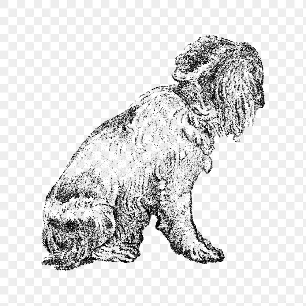 Hand drawn sitting dog illustration