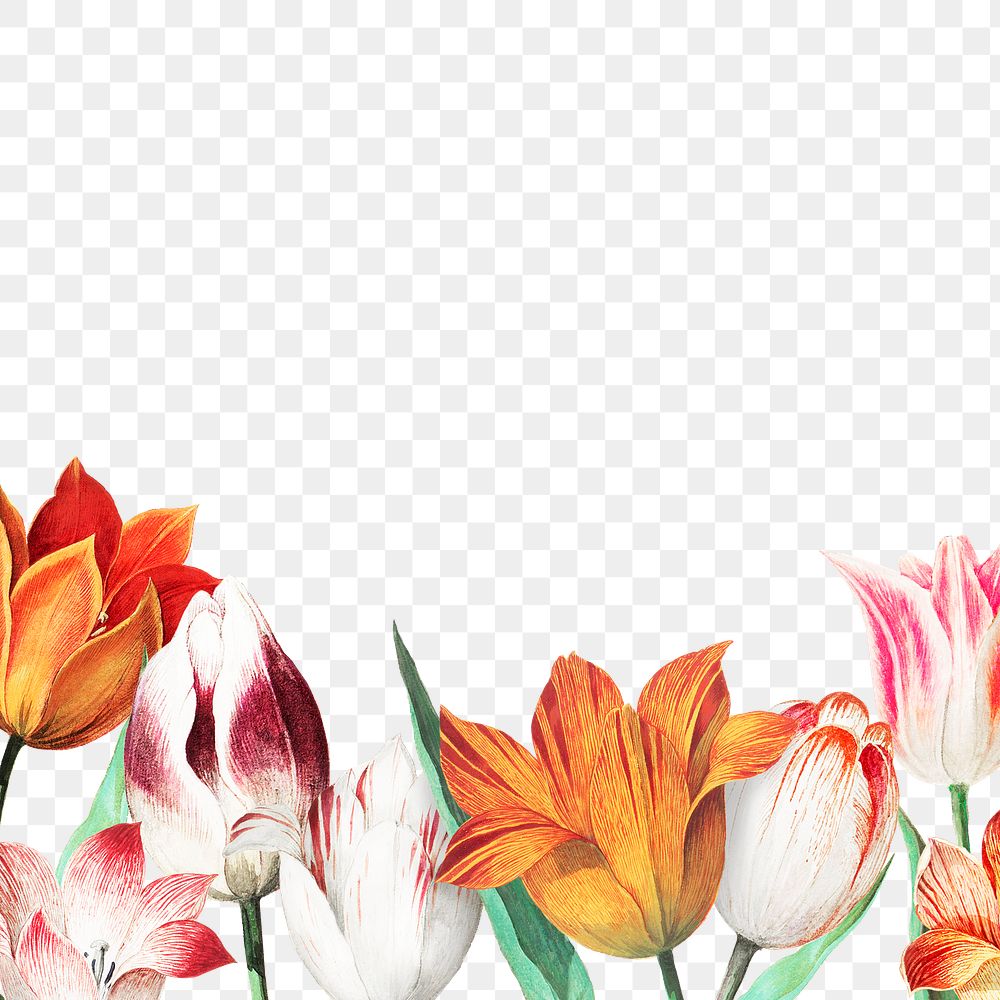 Vintage tulips border decoration and copy space